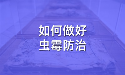 檔案修復(fù)后，如何做好蟲霉防治
